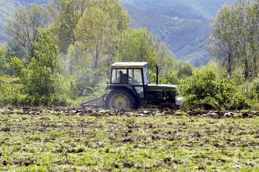 Αποζημιώσεις θα καταβάλει την Παρασκευή ο ΕΛΓΑ σε παραγωγούς της Αρκαδίας