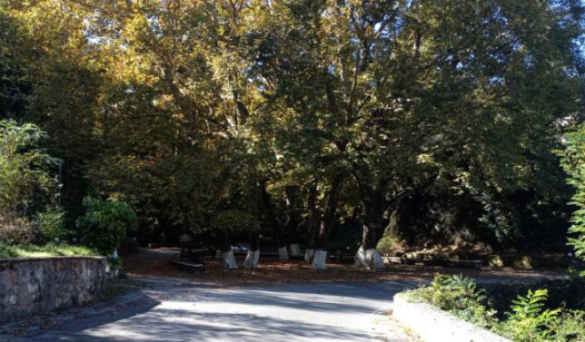 &Pi;&epsilon;&zeta;&omicron;&pi;&omicron;&rho;ί&alpha; &sigma;&tau;&omicron; &Alpha;&lambda;&epsilon;&pi;&omicron;&chi;ώ&rho;&iota; &mu;&epsilon; &tau;&omicron;&nu; &Epsilon;&Omicron;&Sigma; &Tau;&rho;ί&pi;&omicron;&lambda;&eta;&sigmaf;