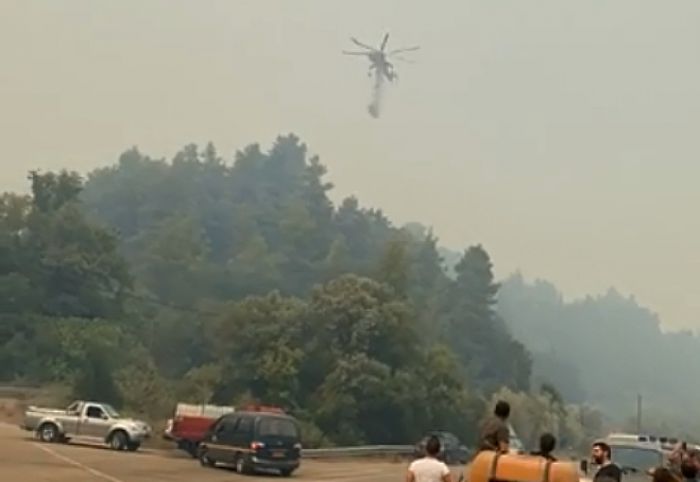 &Nu;έ&epsilon;&sigmaf; &alpha;&nu;&alpha;&zeta;&omega;&pi;&upsilon;&rho;ώ&sigma;&epsilon;&iota;&sigmaf; &sigma;&tau;&eta; &Gamma;&omicron;&rho;&tau;&upsilon;&nu;ί&alpha; - &Alpha;&nu;&tau;&iota;&pi;&upsilon;&rho;&iota;&kappa;έ&sigmaf; &zeta;ώ&nu;&epsilon;&sigmaf; &gamma;&iota;&alpha; &nu;&alpha; &mu;&eta;&nu; &phi;&tau;ά&sigma;&epsilon;&iota; &eta; &phi;&omega;&tau;&iota;ά &sigma;&tau;&omicron; &Mu;&alpha;ί&nu;&alpha;&lambda;&omicron;