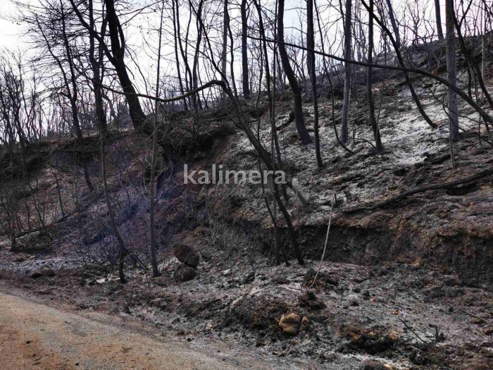 &quot;Για να μην ξαναζήσουμε παρόμοιες καταστάσεις χρειάζεται σχεδιασμός&quot;