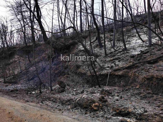 &quot;Για να μην ξαναζήσουμε παρόμοιες καταστάσεις χρειάζεται σχεδιασμός&quot;