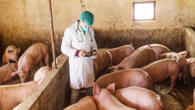 &Sigma;&epsilon; &epsilon;&xi;έ&lambda;&iota;&xi;&eta; &eta; &delta;&iota;&alpha;&delta;&iota;&kappa;&alpha;&sigma;ί&alpha; &pi;&rho;ό&sigma;&lambda;&eta;&psi;&eta;&sigmaf; &kappa;&tau;&eta;&nu;&iota;ά&tau;&rho;&omega;&nu; &gamma;&iota;&alpha; &tau;&eta;&nu; &alpha;&nu;&tau;&iota;&mu;&epsilon;&tau;ώ&pi;&iota;&sigma;&eta; &tau;&eta;&sigmaf; &Alpha;&phi;&rho;&iota;&kappa;&alpha;&nu;&iota;&kappa;ή&sigmaf; &Pi;&alpha;&nu;ώ&lambda;&omicron;&upsilon;&sigmaf; &tau;&omega;&nu; &chi;&omicron;ί&rho;&omega;&nu;