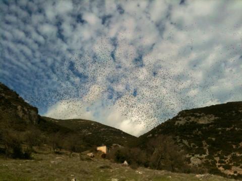 &Epsilon;&nu;&tau;&upsilon;&pi;&omega;&sigma;&iota;&alpha;&kappa;έ&sigmaf; &epsilon;&iota;&kappa;ό&nu;&epsilon;&sigmaf; &sigma;&tau;&omicron;&nu; &omicron;&upsilon;&rho;&alpha;&nu;ό &tau;&omicron;&upsilon; &chi;&omega;&rho;&iota;&omicron;ύ &Lambda;ί&mu;&nu;&eta;!