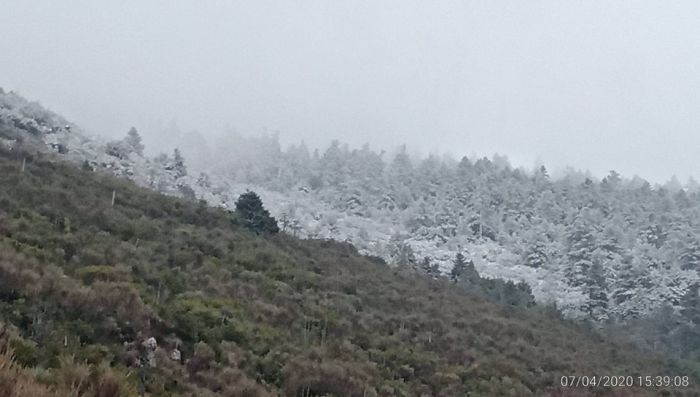 &Chi;&iota;ό&nu;&iota;&sigma;&epsilon; &sigma;&tau;&omicron;&nu; &Pi;ά&rho;&nu;&omega;&nu;&alpha;! (&epsilon;&iota;&kappa;ό&nu;&epsilon;&sigmaf;)