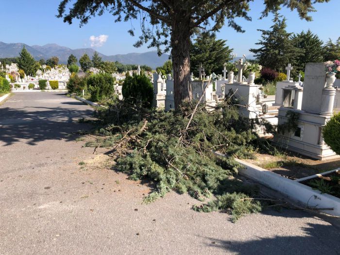 Τρίπολη | Καθαρίστηκε ο χώρος του Δημοτικού Κοιμητηρίου (vd)