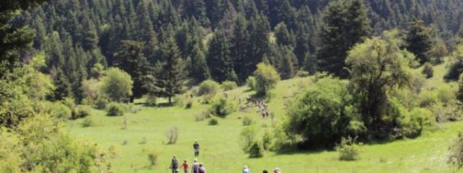 &Sigma;&tau;&omicron; &Alpha;&nu;&alpha;&tau;&omicron;&lambda;&iota;&kappa;ό &Mu;&alpha;ί&nu;&alpha;&lambda;&omicron; &omicron; &Sigma;&Alpha;&Omicron;&Omicron;!