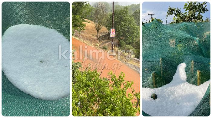 Ά&mu;&epsilon;&sigma;&eta; &kappa;&alpha;&tau;&alpha;&gamma;&rho;&alpha;&phi;ή &gamma;&iota;&alpha; &tau;&iota;&sigmaf; &zeta;&eta;&mu;&iota;έ&sigmaf; &alpha;&pi;ό &tau;&omicron; &chi;&alpha;&lambda;ά&zeta;&iota; &sigma;&tau;&eta;&nu; &Alpha;&rho;&kappa;&alpha;&delta;ί&alpha; &zeta;&eta;&tau;ά &omicron; &Kappa;&omega;&nu;&sigma;&tau;&alpha;&nu;&tau;&iota;&nu;ό&pi;&omicron;&upsilon;&lambda;&omicron;&sigmaf;