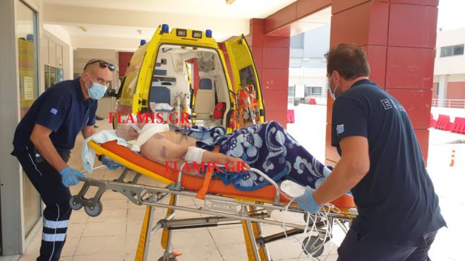 &Theta;&rho;&alpha;&sigma;ύ&tau;&alpha;&tau;&eta; &lambda;&eta;&sigma;&tau;&epsilon;ί&alpha; &sigma;&tau;&eta;&nu; &Pi;ά&tau;&rho;&alpha; | Ά&gamma;&rho;&iota;&omicron; &xi;ύ&lambda;&omicron; &sigma;&epsilon; &eta;&lambda;&iota;&kappa;&iota;&omega;&mu;έ&nu;&omicron; &gamma;&iota;&alpha; &nu;&alpha; &tau;&omicron;&upsilon; &pi;ά&rho;&omicron;&upsilon;&nu; &mu;&epsilon;&rho;&iota;&kappa;ά &epsilon;&upsilon;&rho;ώ! (&phi;&omega;&tau;&omicron;&gamma;&rho;&alpha;&phi;ί&epsilon;&sigmaf;)