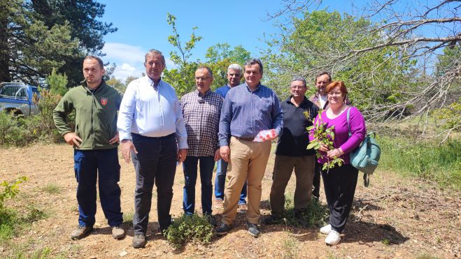 &Alpha;&nu;&tau;&iota;&delta;ή&mu;&alpha;&rho;&chi;&omicron;&sigmaf; &Mu;&alpha;&rho;&kappa;ό&pi;&omicron;&upsilon;&lambda;&omicron;&sigmaf;: &laquo;&Epsilon;ί&mu;&alpha;&sigma;&tau;&epsilon; &delta;ί&pi;&lambda;&alpha; &sigma;&tau;&omicron;&upsilon;&sigmaf; &pi;&alpha;&rho;&alpha;&gamma;&omega;&gamma;&omicron;ύ&sigmaf; &tau;&omicron;&upsilon; &Delta;ή&mu;&omicron;&upsilon; &Tau;&rho;ί&pi;&omicron;&lambda;&eta;&sigmaf;&raquo; (vd)