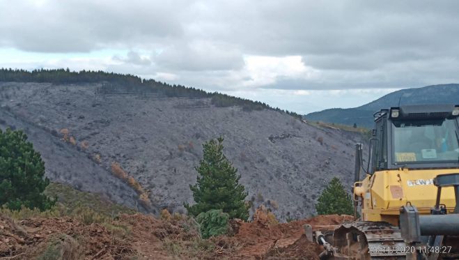 &Sigma;&tau;ά&chi;&tau;&eta; &kappa;&alpha;&iota; &alpha;&pi;&omicron;&kappa;&alpha;ΐ&delta;&iota;&alpha; ά&phi;&eta;&sigma;&epsilon; &pi;ί&sigma;&omega; &tau;&eta;&sigmaf; &eta; &mu;&epsilon;&gamma;ά&lambda;&eta; &pi;&upsilon;&rho;&kappa;&alpha;&gamma;&iota;ά &sigma;&tau;&omicron;&nu; Ά&gamma;&iota;&omicron; &Pi;έ&tau;&rho;&omicron; &Kappa;&upsilon;&nu;&omicron;&upsilon;&rho;ί&alpha;&sigmaf; (&epsilon;&iota;&kappa;ό&nu;&epsilon;&sigmaf;)