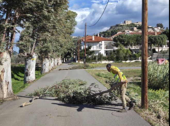 Βόρεια Κυνουρία | Έπεσαν δένδρα και κλαδιά από τους ισχυρούς ανέμους (εικόνες)