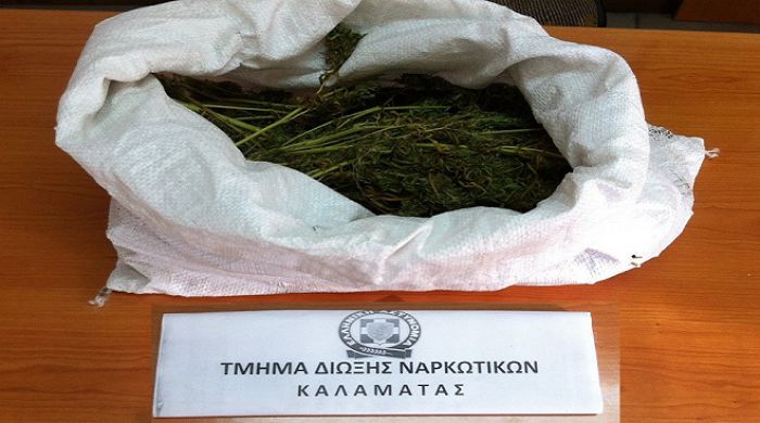 54χρονο με μισό κιλό κάνναβης «τσίμπησε»η αστυνομία στην Καλαμάτα!