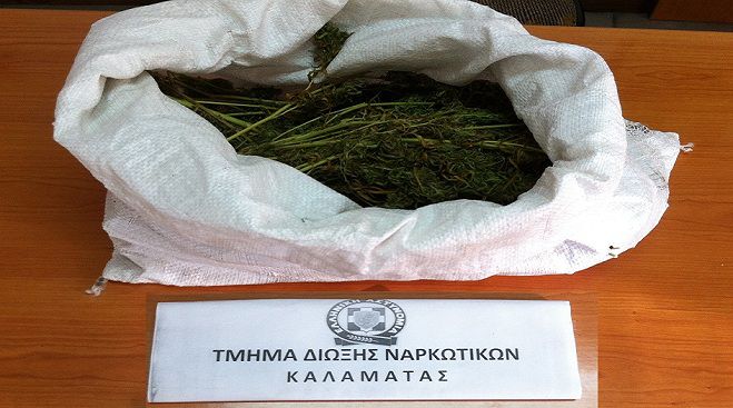 54χρονο με μισό κιλό κάνναβης «τσίμπησε»η αστυνομία στην Καλαμάτα!