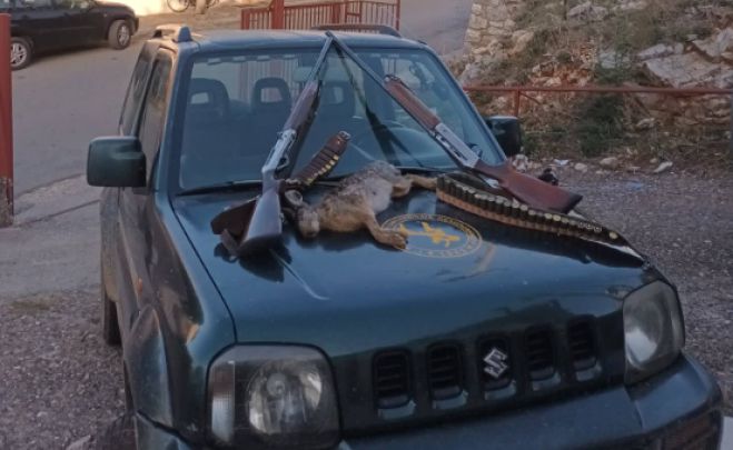 Έ&rho;&chi;&omicron;&nu;&tau;&alpha;&nu; &alpha;&pi;ό &tau;&eta;&nu; &Pi;ά&tau;&rho;&alpha; &sigma;&tau;&eta;&nu; &Alpha;&rho;&kappa;&alpha;&delta;ί&alpha; &gamma;&iota;&alpha; &pi;&alpha;&rho;ά&nu;&omicron;&mu;&omicron; &kappa;&upsilon;&nu;ή&gamma;&iota; &lambda;&alpha;&gamma;&omicron;ύ - &Tau;&omicron;&upsilon;&sigmaf; &epsilon;&nu;&tau;ό&pi;&iota;&sigma;&alpha;&nu; &sigma;&tau;&omicron; &Beta;&omicron;ύ&tau;&sigma;&iota; &Gamma;&omicron;&rho;&tau;&upsilon;&nu;ί&alpha;&sigmaf;!