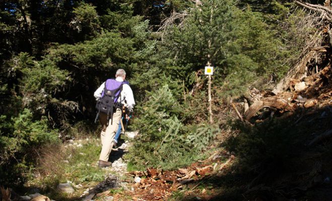 Συνεχίζεται η προσπάθεια ανάδειξης του δικτύου μονοπατιών στο Μαίναλο (εικόνες)