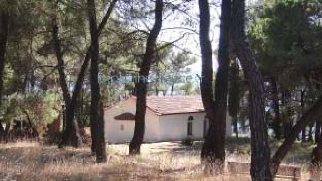 &Alpha;&upsilon;&gamma;&omicron;&upsilon;&sigma;&tau;&iota;ά&tau;&iota;&kappa;&omicron;&sigmaf; &pi;&epsilon;&rho;ί&pi;&alpha;&tau;&omicron;&sigmaf; &sigma;&tau;&eta; &Sigma;&kappa;&iota;&rho;ί&tau;&iota;&delta;&alpha;