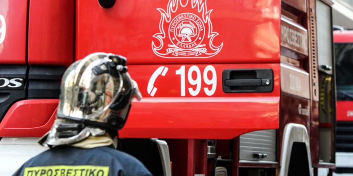 Ένωση Υπαλλήλων Πυροσβεστικού Σώματος Πελοποννήσου | Συγχαρητήρια σε Αλέμη και Γόντικα