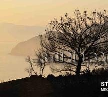 Νέα μεγάλη φωτιά στην παραλία της Καραθώνας κοντά στο σημείο που έκαναν μπάνιο οι λουόμενοι!