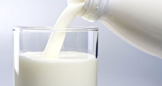 «Στον πάτο» οι τιμές του αιγοπρόβειου γάλακτος στην Ελλάδα - Σε απόγνωση οι κτηνοτρόφοι