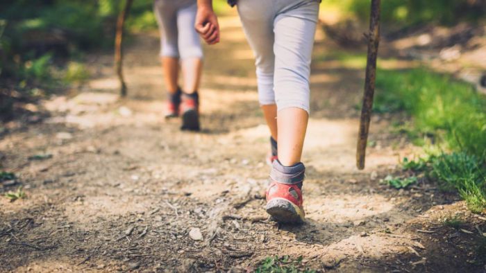 &Alpha;&rho;&kappa;&alpha;&delta;ί&alpha; | &Alpha;&upsilon;&tau;ή &epsilon;ί&nu;&alpha;&iota; &eta; &Sigma;&upsilon;&mu;&beta;&omicron;&upsilon;&lambda;&epsilon;&upsilon;&tau;&iota;&kappa;ή &Epsilon;&pi;&iota;&tau;&rho;&omicron;&pi;ή &Pi;&epsilon;&zeta;&omicron;&pi;&omicron;&rho;&iota;&kappa;ώ&nu;-&Omicron;&rho;&epsilon;&iota;&beta;&alpha;&tau;&iota;&kappa;ώ&nu; &Delta;&rho;&alpha;&sigma;&tau;&eta;&rho;&iota;&omicron;&tau;ή&tau;&omega;&nu;