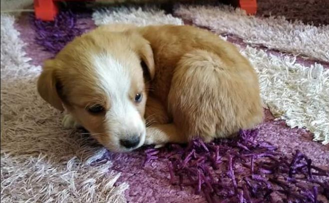 &Alpha;&upsilon;&tau;ό &tau;&omicron; &pi;&alpha;&nu;έ&mu;&omicron;&rho;&phi;&omicron; &kappa;&omicron;&upsilon;&tau;&alpha;&beta;ά&kappa;&iota; &beta;&rho;έ&theta;&eta;&kappa;&epsilon; &epsilon;&gamma;&kappa;&alpha;&tau;&alpha;&lambda;&epsilon;&lambda;&epsilon;&iota;&mu;&mu;έ&nu;&omicron; &sigma;&tau;&eta;&nu; &Tau;&rho;ί&pi;&omicron;&lambda;&eta; - &Theta;&alpha; &tau;&omicron; &upsilon;&iota;&omicron;&theta;&epsilon;&tau;ή&sigma;&epsilon;&iota;&sigmaf;;