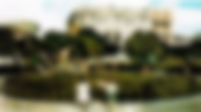 &Eta; &kappa;&alpha;&tau;&alpha;&pi;&rho;ά&sigma;&iota;&nu;&eta; &pi;&lambda;&alpha;&tau;&epsilon;ί&alpha; &Kappa;&omicron;&lambda;&omicron;&kappa;&omicron;&tau;&rho;ώ&nu;&eta; &pi;&rho;&iota;&nu; &alpha;&pi;ό &mu;&iota;&sigma;ό &alpha;&iota;ώ&nu;&alpha;! (&epsilon;&iota;&kappa;ό&nu;&alpha;)