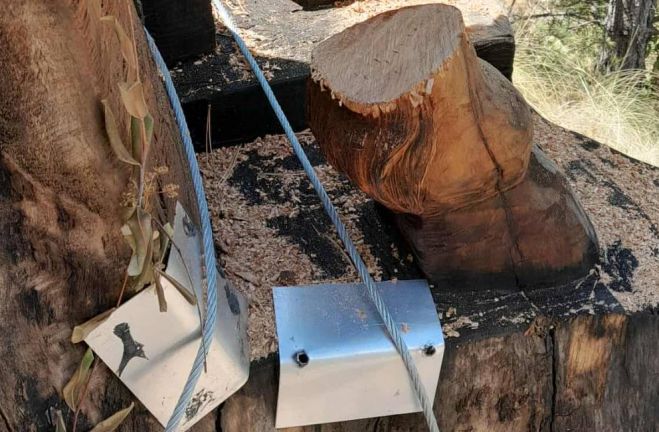 Βανδαλίστηκε το άγαλμα του Πάνα στη Στεμνίτσα - Κατατέθηκε μήνυση από τον Γιάννη Λαγό (εικόνες)