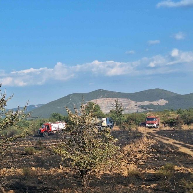&Tau;&omicron; "&epsilon;&upsilon;&chi;&alpha;&rho;&iota;&sigma;&tau;ώ" &Mu;&iota;&chi;ό&pi;&omicron;&upsilon;&lambda;&omicron;&upsilon; &gamma;&iota;&alpha; &tau;&eta;&nu; ά&mu;&epsilon;&sigma;&eta; &kappa;&alpha;&tau;ά&sigma;&beta;&epsilon;&sigma;&eta; &tau;&eta;&sigmaf; &phi;&omega;&tau;&iota;ά&sigmaf; &sigma;&tau;&omicron;&upsilon;&sigmaf; &Chi;&rho;ά&nu;&omicron;&upsilon;&sigmaf;