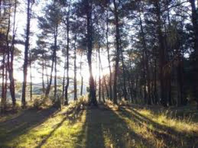 &Pi;&epsilon;&rho;ί&pi;&alpha;&tau;&omicron;&sigmaf; &mu;&epsilon; &tau;&omicron;&nu; &Omicron;&rho;&epsilon;&iota;&beta;&alpha;&tau;&iota;&kappa;ό &sigma;&tau;&omicron; Ά&lambda;&sigma;&omicron;&sigmaf; &Pi;&alpha;&nu;&alpha;&rho;&kappa;ά&delta;&omega;&nu;