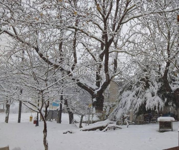 &Chi;&iota;&omicron;&nu;&iota;&sigma;&mu;έ&nu;&eta; &Alpha;&rho;&kappa;&alpha;&delta;ί&alpha; | &Upsilon;&pi;ά&rho;&chi;&epsilon;&iota; &omicron;&mu;&omicron;&rho;&phi;ό&tau;&epsilon;&rho;&omicron; &mu;έ&rho;&omicron;&sigmaf;; (&epsilon;&iota;&kappa;ό&nu;&epsilon;&sigmaf;)