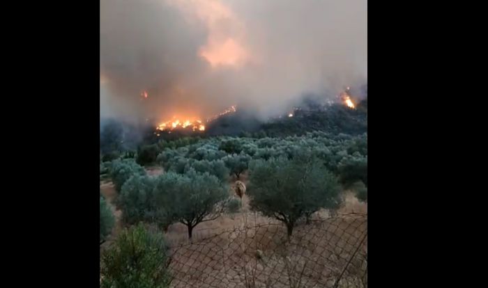 Γορτυνία | Η Αστυνομία εκκένωσε το Νεοχώρι - Η φωτιά &quot;κατεβαίνει&quot; στον Ερύμανθο