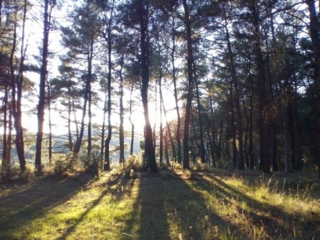 &Sigma;&eta;&mu;&alpha;&tau;&omicron;&delta;ό&tau;&eta;&sigma;&eta; &delta;&iota;&alpha;&delta;&rho;&omicron;&mu;ώ&nu; &sigma;&tau;&omicron; ά&lambda;&sigma;&omicron;&sigmaf; &tau;&omicron;&upsilon; &Pi;&alpha;&nu;&alpha;&rho;&kappa;&alpha;&delta;&iota;&kappa;&omicron;ύ &Nu;&omicron;&sigma;&omicron;&kappa;&omicron;&mu;&epsilon;ί&omicron;&upsilon;!