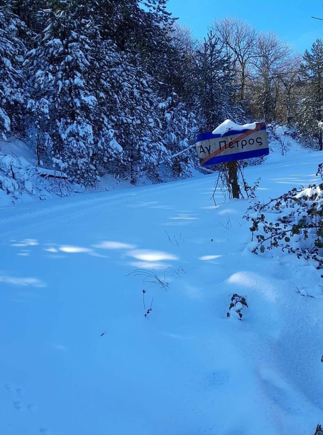 &Alpha;&lambda;&pi;&iota;&kappa;ό &tau;&omicron;&pi;ί&omicron; &sigma;&tau;&omicron;&nu; Ά&gamma;&iota;&omicron; &Pi;έ&tau;&rho;&omicron; &Kappa;&upsilon;&nu;&omicron;&upsilon;&rho;ί&alpha;&sigmaf;! (vd)