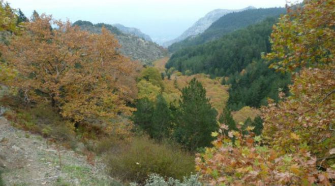 &Sigma;&Alpha;&Omicron;&Omicron; | &Epsilon;&xi;ό&rho;&mu;&eta;&sigma;&eta; &sigma;&tau;&omicron; &Mu;&alpha;ί&nu;&alpha;&lambda;&omicron;!