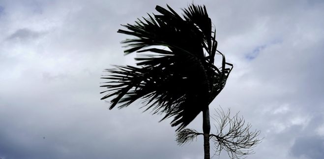 &Tau;&upsilon;&phi;ώ&nu;&alpha;&sigmaf; Dorian | &Sigma;&upsilon;&gamma;&kappa;&lambda;&omicron;&nu;&iota;&sigma;&tau;&iota;&kappa;ό &beta;ί&nu;&tau;&epsilon;&omicron; - &Alpha;&epsilon;&rho;&omicron;&pi;&lambda;ά&nu;&omicron; &pi;&epsilon;&rho;&nu;ά &mu;έ&sigma;&alpha; &alpha;&pi;ό &tau;&omicron;&nu; &tau;&upsilon;&phi;ώ&nu;&alpha; (vd)