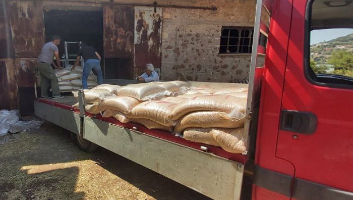 &Beta;&lambda;&alpha;&chi;έ&rho;&nu;&alpha; | &Alpha;&pi;&omicron;&sigma;&tau;&omicron;&lambda;ή &zeta;&omega;&omicron;&tau;&rho;&omicron;&phi;ώ&nu; &sigma;&tau;&omicron;&upsilon;&sigmaf; &pi;&upsilon;&rho;ό&pi;&lambda;&eta;&kappa;&tau;&omicron;&upsilon;&sigmaf; &tau;&eta;&sigmaf; &Gamma;&omicron;&rho;&tau;&upsilon;&nu;ί&alpha;&sigmaf; (&epsilon;&iota;&kappa;ό&nu;&epsilon;&sigmaf;)