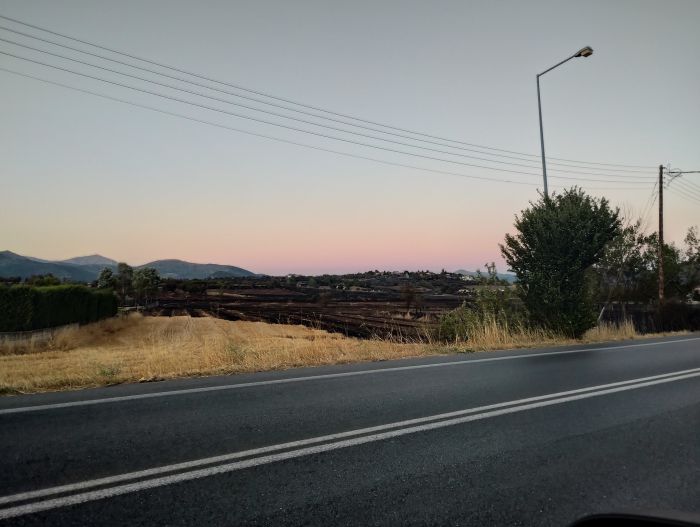 Αντιδήμαρχος Οικονομόπουλος για τις φωτιές στην Τεγέα: "Υποχρέωσή μας να σταθούμε στο πλευρό όσων απώλεσαν την περιουσία τους"