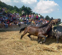 &Alpha;&nu;&alpha;&pi;&alpha;&rho;ά&sigma;&tau;&alpha;&sigma;&eta; &pi;&alpha;&rho;&alpha;&delta;&omicron;&sigma;&iota;&alpha;&kappa;&omicron;ύ &alpha;&lambda;&omega;&nu;ί&sigma;&mu;&alpha;&tau;&omicron;&sigmaf; &sigma;&tau;&omicron; &Beta;&alpha;&lambda;&tau;&epsilon;&sigma;&iota;&nu;ί&kappa;&omicron;! (video)