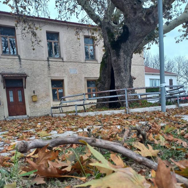 &Sigma;&alpha;&beta;&beta;&alpha;&tau;&omicron;&kappa;ύ&rho;&iota;&alpha;&kappa;&omicron; | &Iota;&delta;έ&epsilon;&sigmaf; &gamma;&iota;&alpha; &alpha;&pi;&omicron;&delta;&rho;ά&sigma;&epsilon;&iota;&sigmaf; &sigma;&tau;&eta;&nu; &Alpha;&rho;&kappa;&alpha;&delta;ί&alpha; (18-19 &Nu;&omicron;&epsilon;&mu;&beta;&rho;ί&omicron;&upsilon; 2023)