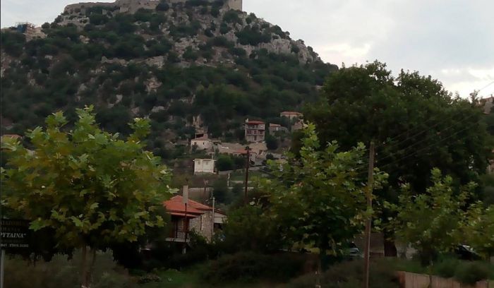 Νέα διοίκηση στο Σύλλογο Καρυτινών Αθηνών - Πειραιώς