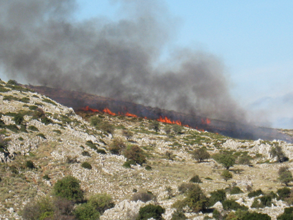 Έσβησε η πυρκαγιά στο Δραγούνι