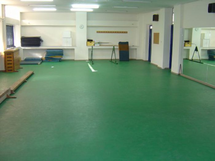 &Alpha;&kappa;ί&nu;&eta;&tau;&omicron; &gamma;&iota;&alpha; &tau;&eta; &lambda;&epsilon;&iota;&tau;&omicron;&upsilon;&rho;&gamma;ί&alpha; &alpha;ί&theta;&omicron;&upsilon;&sigma;&alpha;&sigmaf; &gamma;&upsilon;&mu;&nu;&alpha;&sigma;&tau;&iota;&kappa;ή&sigmaf; &alpha;&nu;&alpha;&zeta;&eta;&tau;ά &omicron; &Delta;ή&mu;&omicron;&sigmaf; &sigma;&tau;&eta;&nu; &pi;&epsilon;&rho;&iota;&omicron;&chi;ή &tau;&omicron;&upsilon; &Tau;&upsilon;&rho;&omicron;ύ