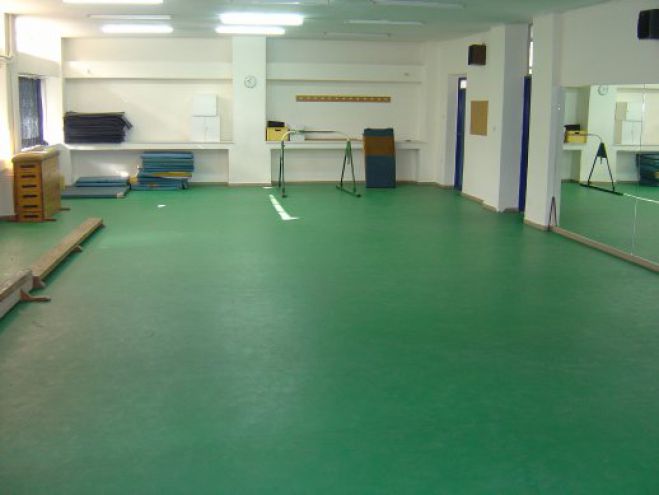 &Alpha;&kappa;ί&nu;&eta;&tau;&omicron; &gamma;&iota;&alpha; &tau;&eta; &lambda;&epsilon;&iota;&tau;&omicron;&upsilon;&rho;&gamma;ί&alpha; &alpha;ί&theta;&omicron;&upsilon;&sigma;&alpha;&sigmaf; &gamma;&upsilon;&mu;&nu;&alpha;&sigma;&tau;&iota;&kappa;ή&sigmaf; &alpha;&nu;&alpha;&zeta;&eta;&tau;ά &omicron; &Delta;ή&mu;&omicron;&sigmaf; &sigma;&tau;&eta;&nu; &pi;&epsilon;&rho;&iota;&omicron;&chi;ή &tau;&omicron;&upsilon; &Tau;&upsilon;&rho;&omicron;ύ