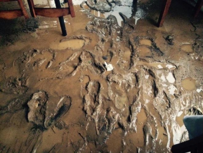 &Theta;&epsilon;&omicron;&mu;&eta;&nu;ί&alpha; - &Sigma;&upsilon;&nu;&epsilon;&chi;ί&zeta;&omicron;&nu;&tau;&alpha;&iota; &omicron;&iota; &alpha;&iota;&tau;ή&sigma;&epsilon;&iota;&sigmaf; &gamma;&iota;&alpha; &zeta;&eta;&mu;&iota;έ&sigmaf; &sigma;&tau;&omicron;&nu; &Delta;ή&mu;&omicron; &Tau;&rho;ί&pi;&omicron;&lambda;&eta;&sigmaf;