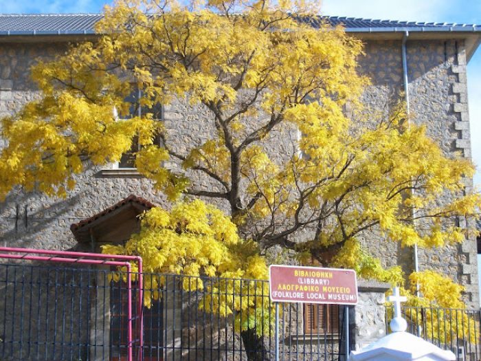 Ανοιχτά κάθε Σαββατοκύριακο τα Μουσεία στον Κοσμά!