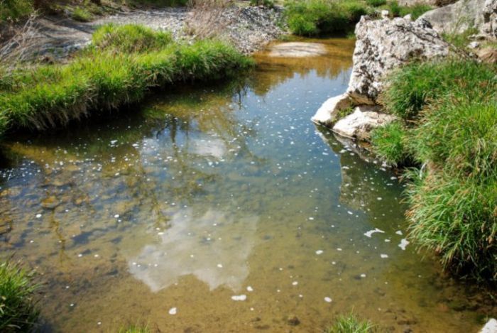 Καταγγελία: Μολύνθηκε ο Μυλάοντας ποταμός από το Βιολογικό Καθαρισμό Βυτίνας!