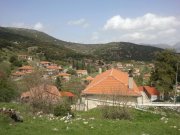 &Tau;&omicron;&nu; &Alpha;ύ&gamma;&omicron;&upsilon;&sigma;&tau;&omicron; &tau;&omicron; &Alpha;&nu;&tau;ά&mu;&omega;&mu;&alpha; &tau;&omega;&nu; &Alpha;&gamma;&rho;&iota;&delta;&alpha;ί&omega;&nu; &sigma;&tau;&eta; &Gamma;&omicron;&rho;&tau;&upsilon;&nu;ί&alpha;