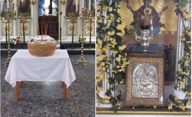&Eta; &gamma;&iota;&omicron;&rho;&tau;ή &tau;&eta;&sigmaf; &Zeta;&omega;&omicron;&delta;ό&chi;&omicron;&upsilon; &Pi;&eta;&gamma;ή&sigmaf; &sigma;&tau;&omicron; &Epsilon;&lambda;&alpha;&iota;&omicron;&chi;ώ&rho;&iota;