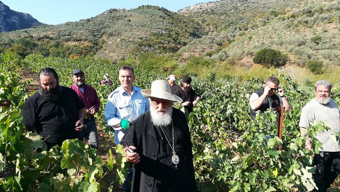 Στον τρύγο του αμπελώνα της Μονής Τιμίου Προδρόμου ο Αλέξανδρος! (vd)