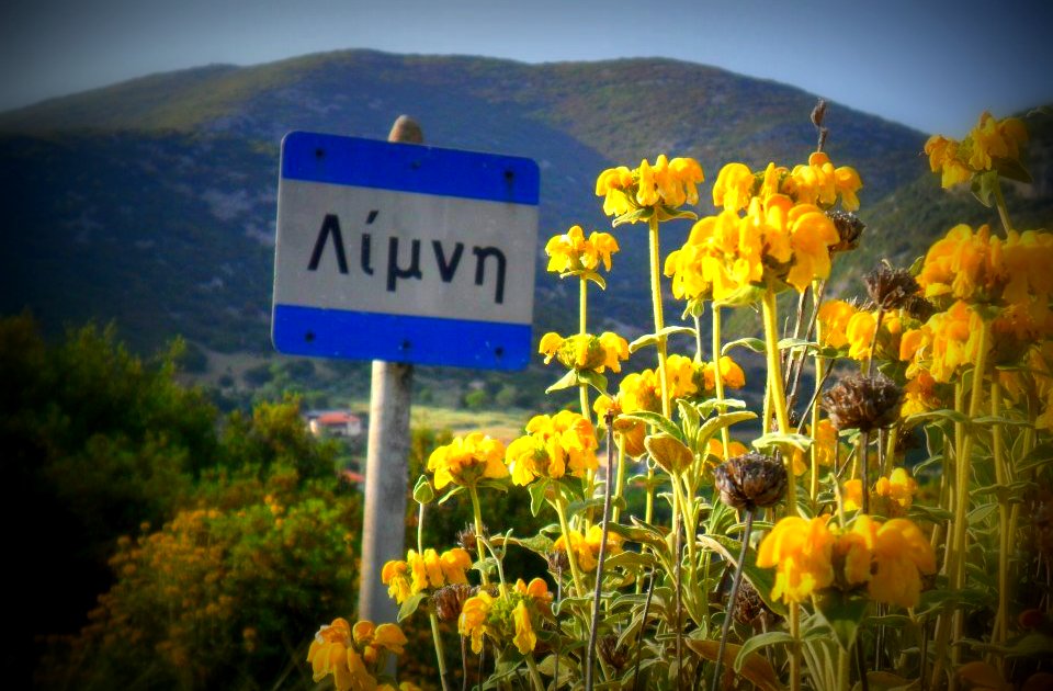 &Kappa;&alpha;&lambda;&omicron;&kappa;&alpha;&iota;&rho;&iota;&nu;έ&sigmaf; &epsilon;&kappa;&delta;&eta;&lambda;ώ&sigma;&epsilon;&iota;&sigmaf; &sigma;&tau;&eta; &Lambda;ί&mu;&nu;&eta; &Alpha;&rho;&kappa;&alpha;&delta;ί&alpha;&sigmaf; (Ά&gamma;&alpha;&lambda;&iota;)